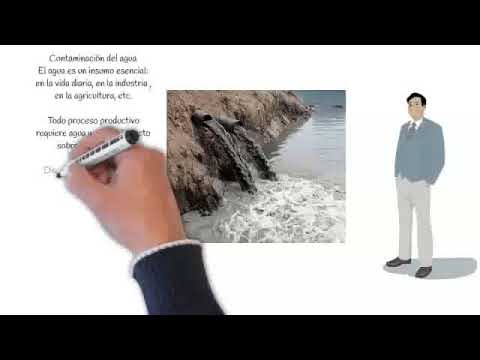 como afecta al ambiente las aguas negras