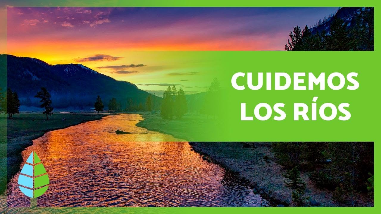 como podemos cuidar el agua de los rios
