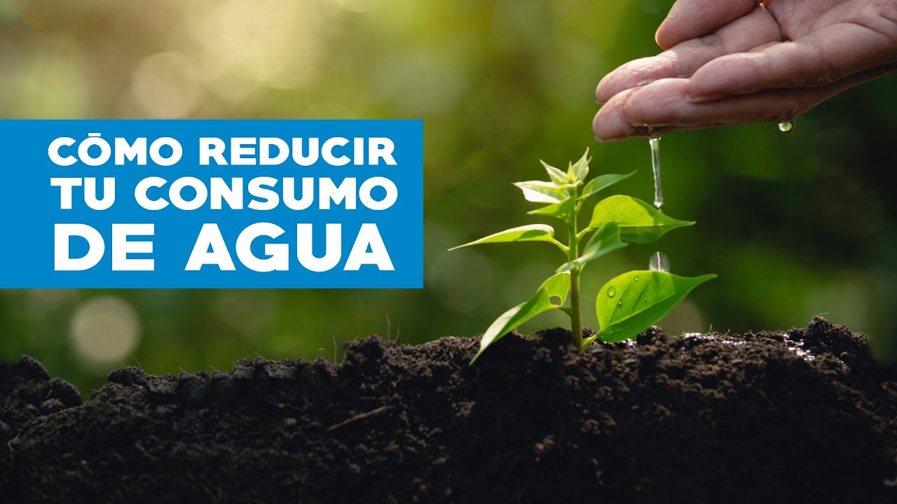 consejos para reducir el consumo de agua
