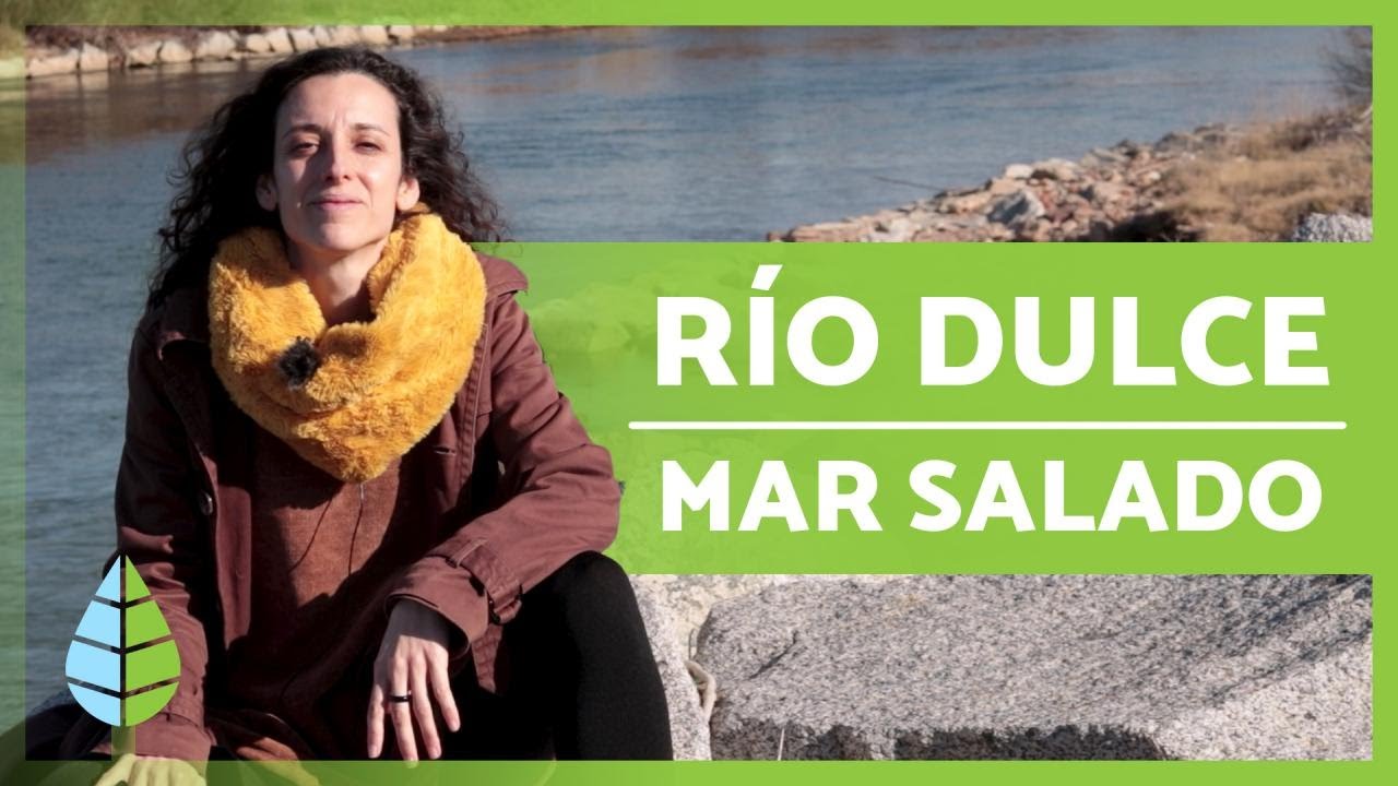 el agua de los rios es dulce o salada