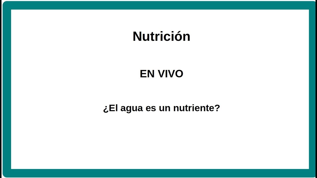 el agua es un alimento o un nutriente
