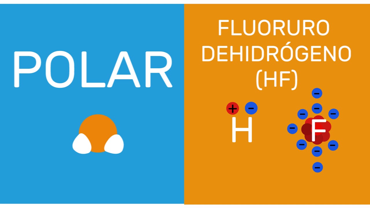 el agua es una molecula apolar o polar