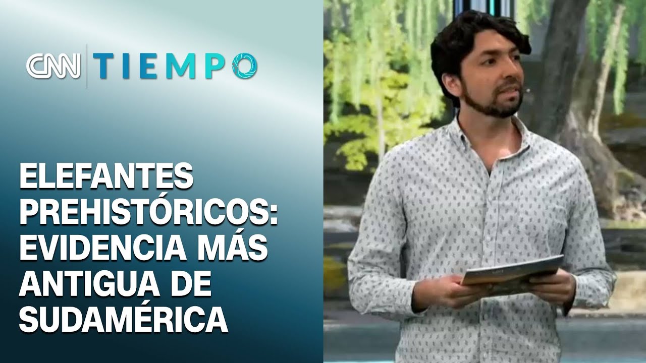 el tiempo en san vicente de tagua tagua