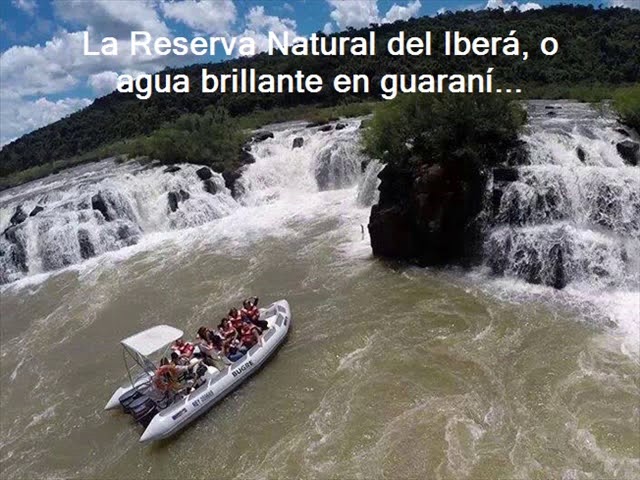 esteros del ibera reserva de agua dulce