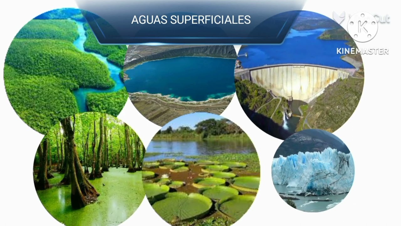 importancia de las aguas continentales