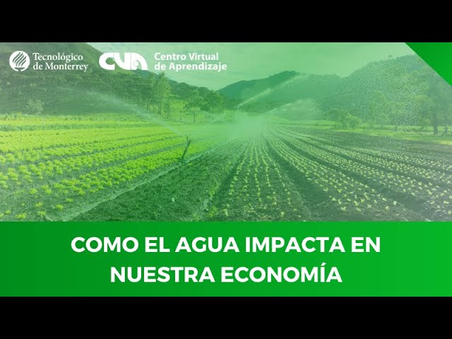 importancia del agua en la agricultura