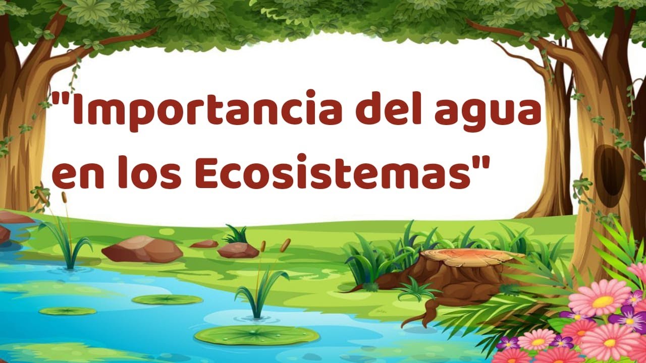 importancia del agua en los ecosistemas