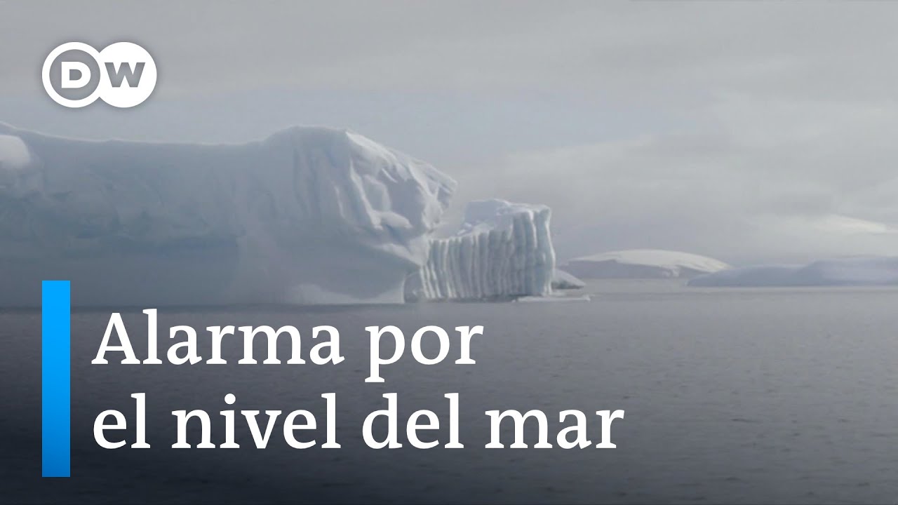 porque los glaciares son de agua dulce