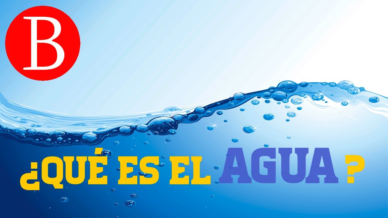 propiedades del agua en los seres vivos