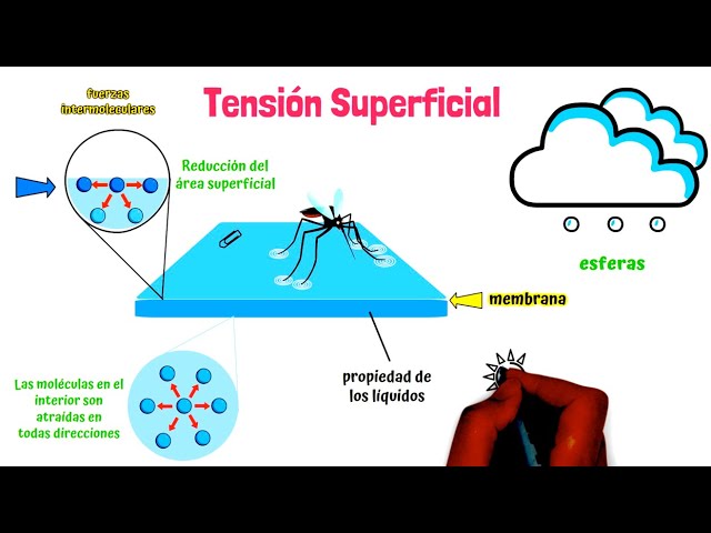 que es la tension superficial del agua