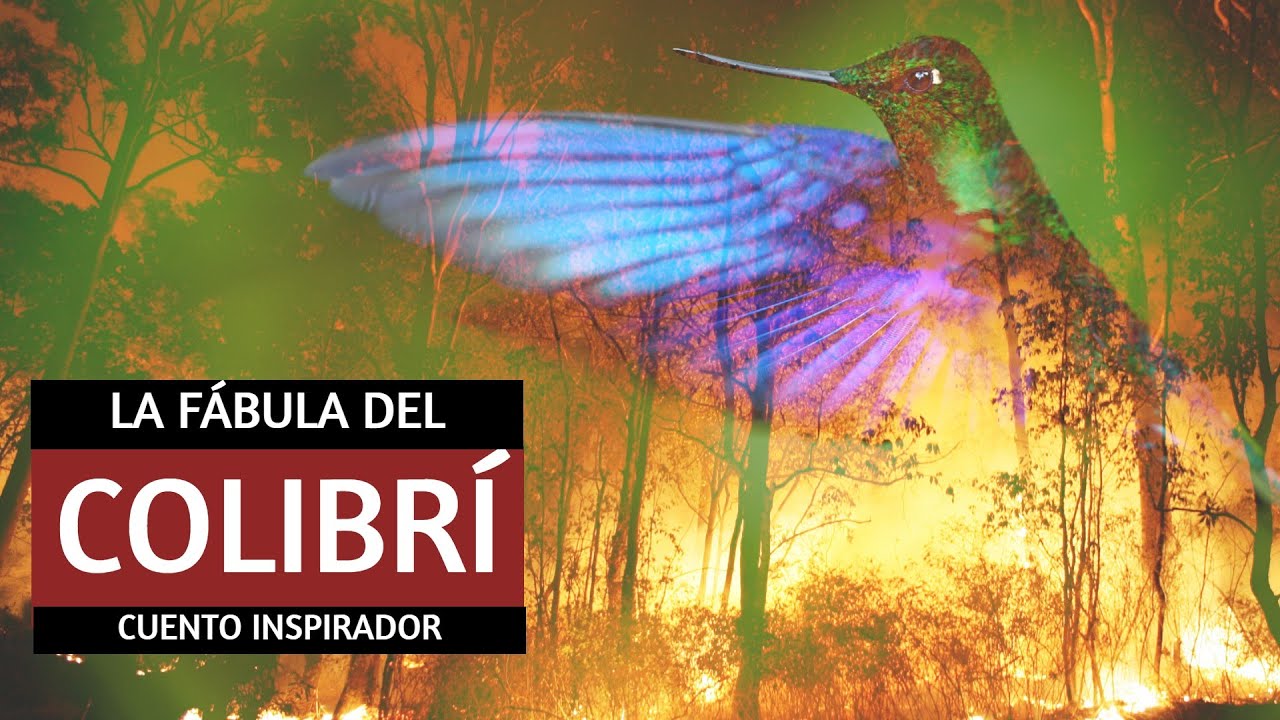 reflexion el agua que queria ser fuego