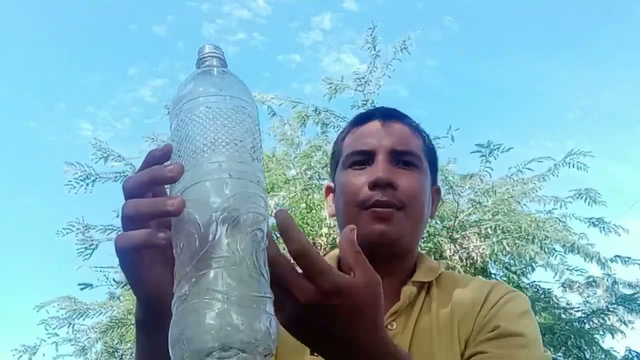 se puede regar plantas con agua salada