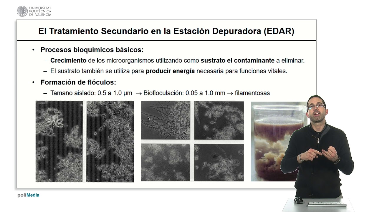 tratamiento secundario de aguas negras
