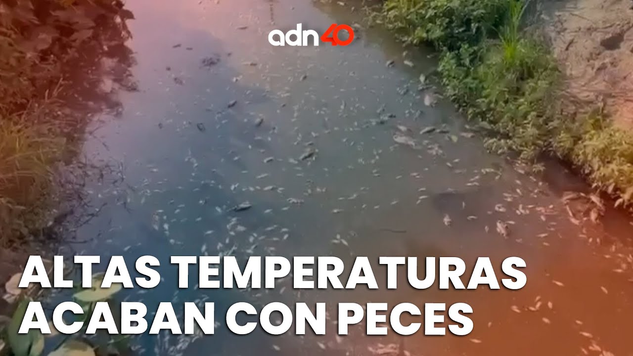 ultimas noticias de agua dulce veracruz