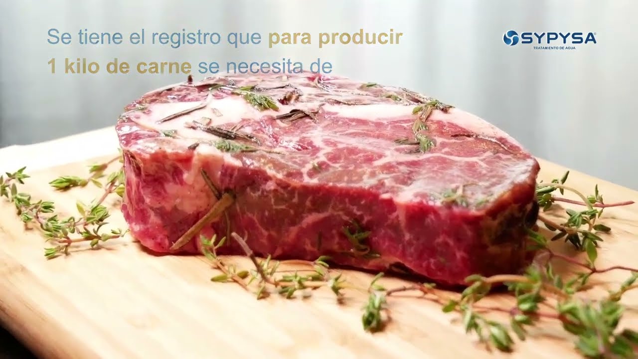 uso del agua en la industria alimentaria