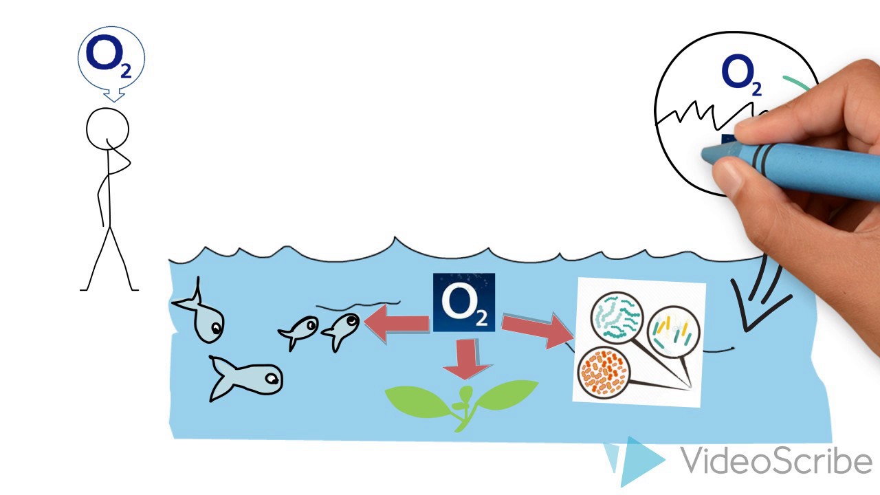 valor oxigeno disuelto en agua potable